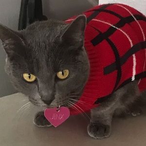 Meet your Posher, Chaise